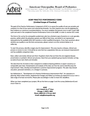 AOBP Practice Performance Form