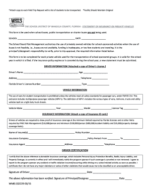 Florida Private Vehicle Insurance Statement