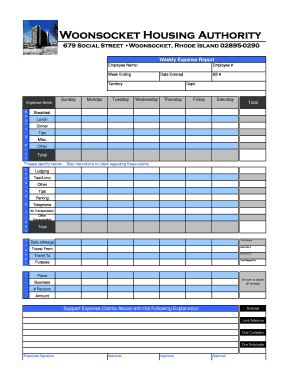Weekly Expense Report