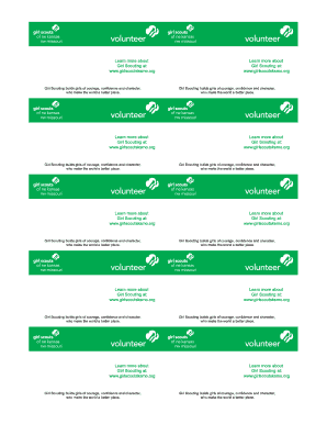 Girl Scouts Volunteer Information Template