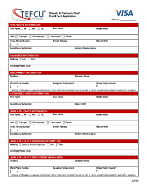 Visa Credit Card Application