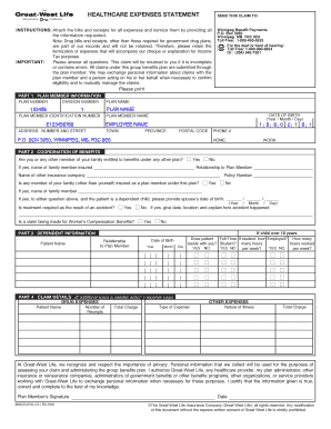 Healthcare Expense Statement