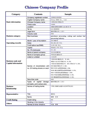 Chinese Company Profile Form