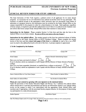 Judicial Review Form for Study Abroad