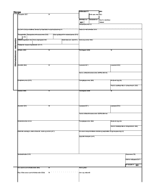 Norway Customs Declaration Form