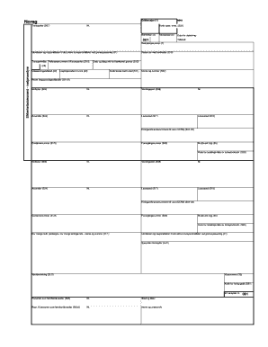 Norwegian Customs Declaration Form