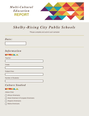 Multi-Cultural Education Report