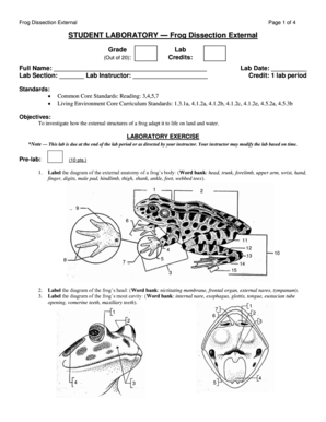 Frog Dissection Lab Report