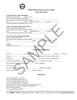 FBAR Monitoring Document