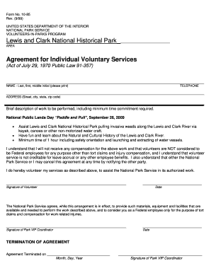 Volunteer Agreement for Individual Services