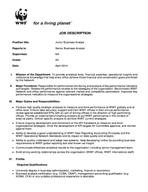 Junior Business Analyst Job Description