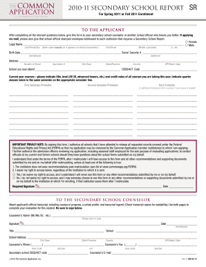 Secondary School Report Form