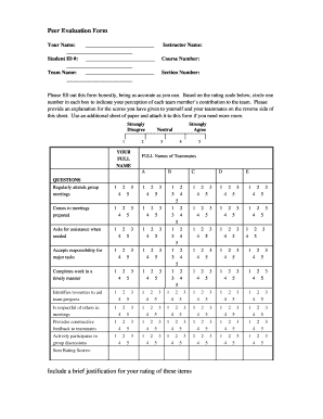 Peer Evaluation Form