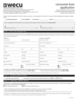 Consumer Loan Application