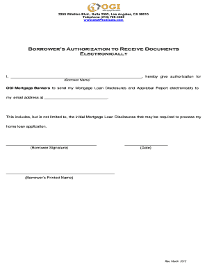 Borrower's Authorization to Receive Documents Electronically