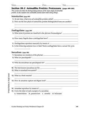 Animallike Protists Study Guide
