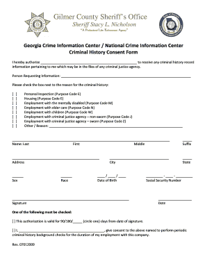 Georgia Criminal History Consent Form