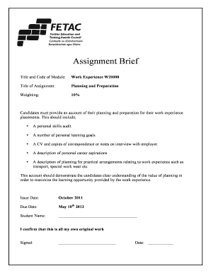 Work Experience Assignment Brief
