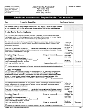 Michigan FOIA Detailed Cost Itemization Form