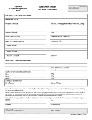 Consumer Credit Information Form