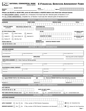 E-Financial Services Amendment Form