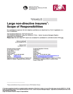 Large Non-Directive Insurers Scope of Responsibilities Form
