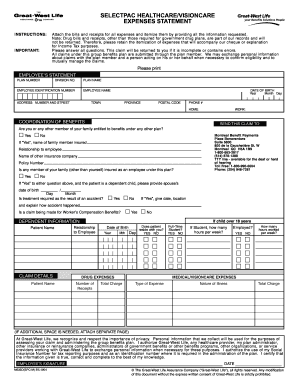 Healthcare Expense Statement