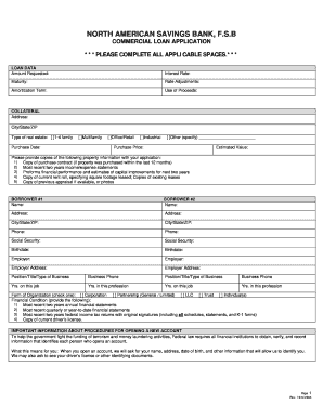 Commercial Loan Application