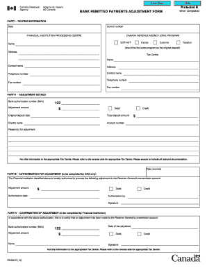 Bank Remitted Payments Adjustment Form
