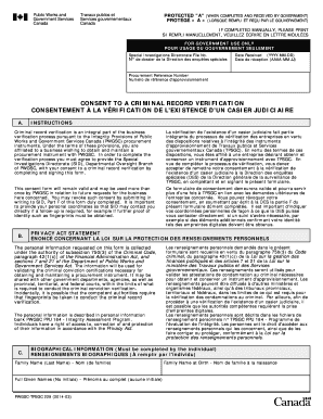 Consent to Criminal Record Verification