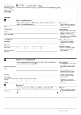 SE CV01 - Director Appointment Form