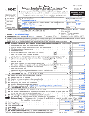 Form 990-EZ 2007