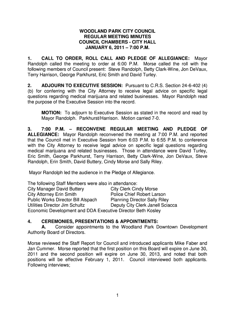 CALL TO ORDER, ROLL CALL AND PLEDGE OF ALLEGIANCE Mayor Preview on Page 1