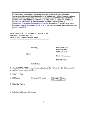 New York Preliminary Conference Stipulation