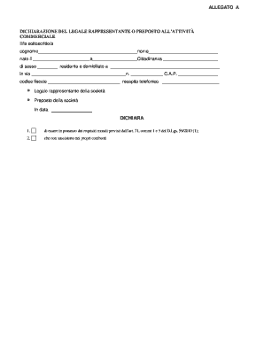 Dichiarazione di Legale Rappresentante