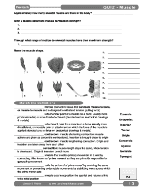 Muscle Anatomy Quiz