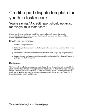 Credit Report Dispute for Youth in Foster Care