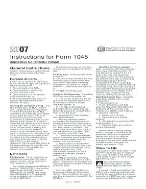 Instructions for Form 1045