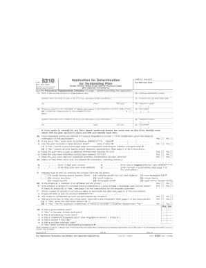 IRS Form 5310 Application for Determination of Terminating Plan