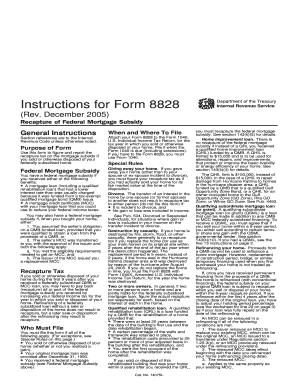 Form 8828 Instructions