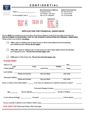 Mount Sinai Financial Aid Application