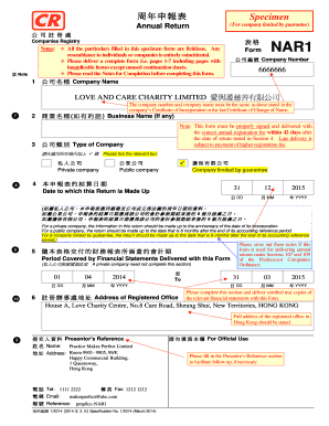 Hong Kong Annual Return Form NAR1