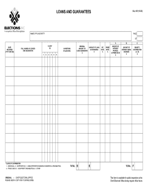 Loan and Guarantee Disclosure Form