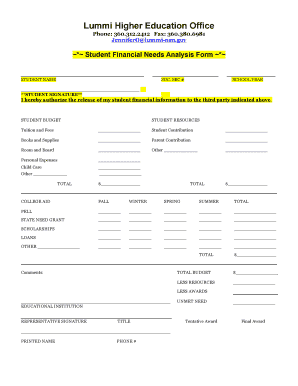Student Financial Needs Analysis Form