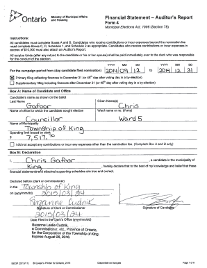 Ontario Municipal Election Financial Statement