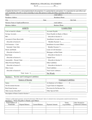 Personal Financial Statement Form
