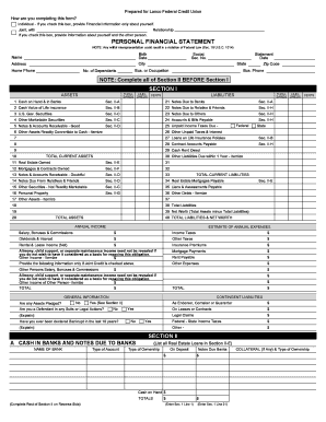 Personal Financial Statement Form