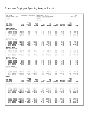 Security bond form - Example of Employee Spending Analysis Report