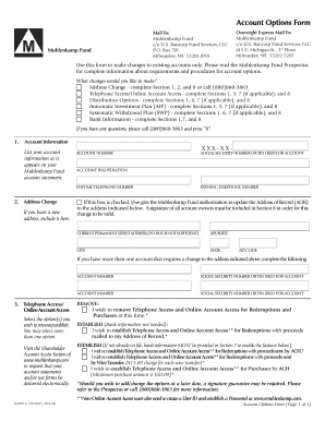 Muhlenkamp Fund Account Options Form