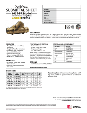 ApolloXpress Model 163T-PR Swing Check Valve Specification